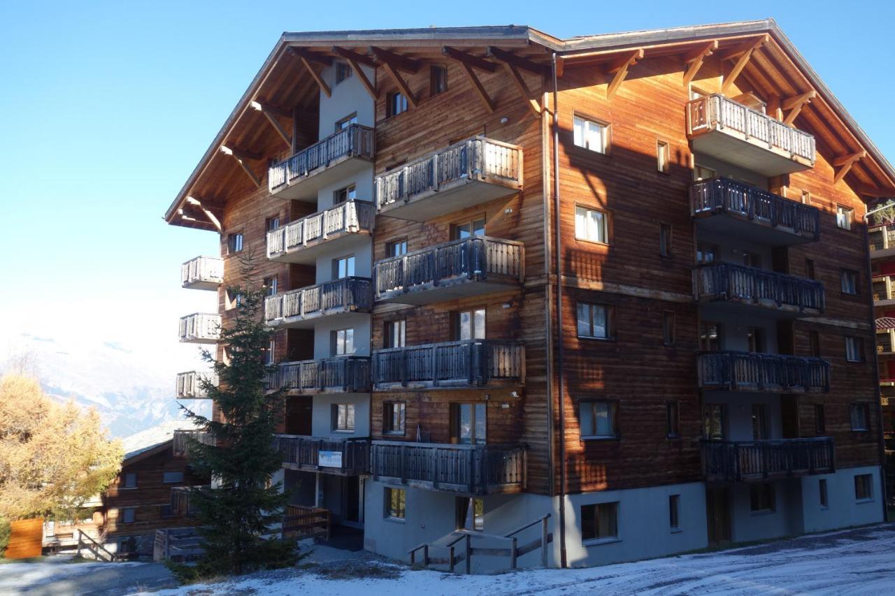 Pracondu 1 Outdoor & Fun Appartement 1 Chambre Superieur Avec Balcon By Alpvision Residences Nendaz Exterior foto