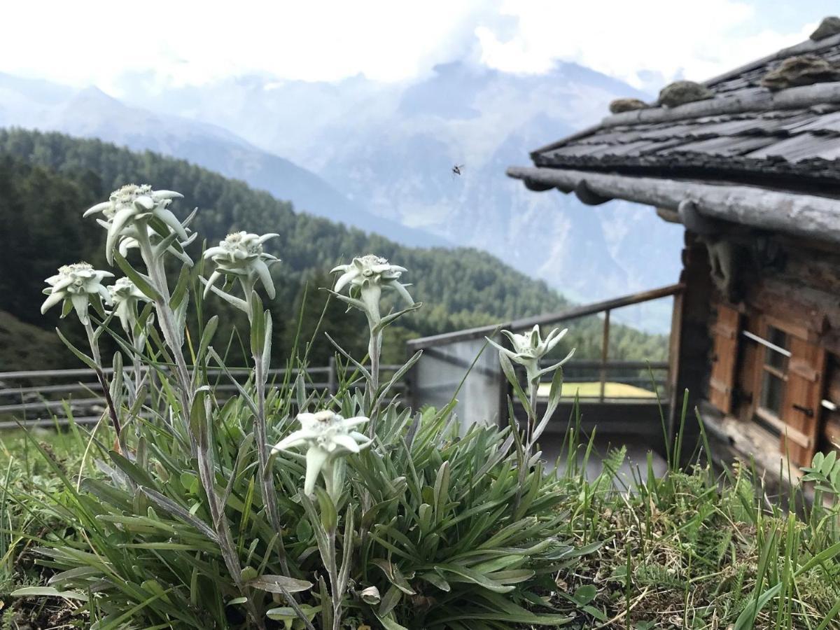 Pracondu 1 Outdoor & Fun Appartement 1 Chambre Superieur Avec Balcon By Alpvision Residences Nendaz Exterior foto