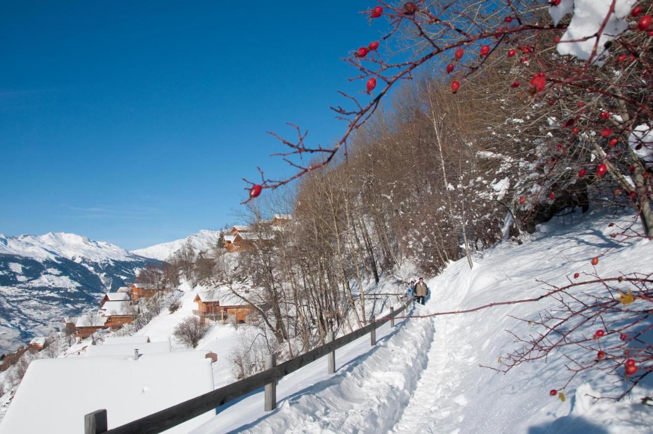 Pracondu 1 Outdoor & Fun Appartement 1 Chambre Superieur Avec Balcon By Alpvision Residences Nendaz Exterior foto