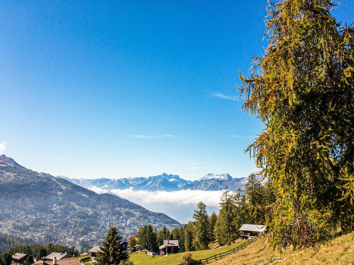 Pracondu 1 Outdoor & Fun Appartement 1 Chambre Superieur Avec Balcon By Alpvision Residences Nendaz Exterior foto