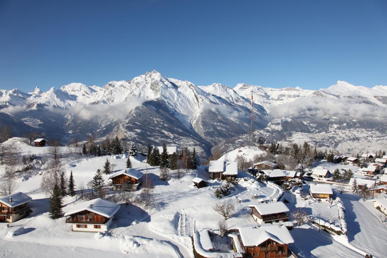 Pracondu 1 Outdoor & Fun Appartement 1 Chambre Superieur Avec Balcon By Alpvision Residences Nendaz Exterior foto
